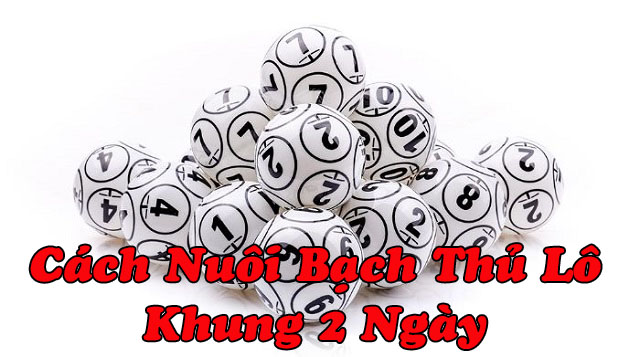 cách nuôi bạch thủ lô khung 2 ngày