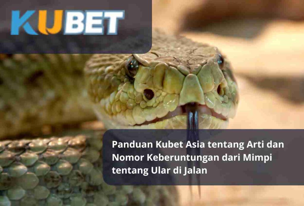 Panduan Kubet Asia tentang Arti dan Nomor Keberuntungan dari Mimpi tentang Ular di Jalan